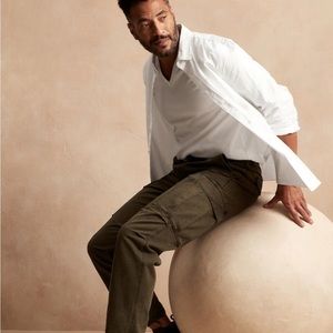 Banana Republic Authentic Supima Cotton Vneck Tee